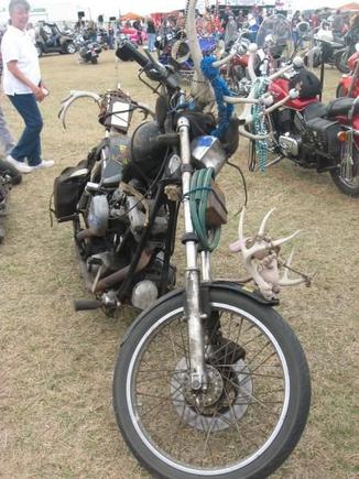 what in the hell is it?