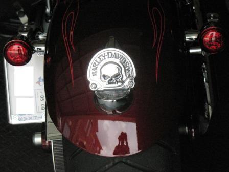 Shani's Bootylicious Phat Azz