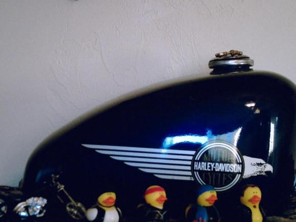 Biker Duckies 003