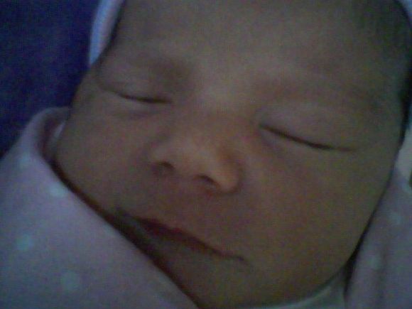 Photo 0052