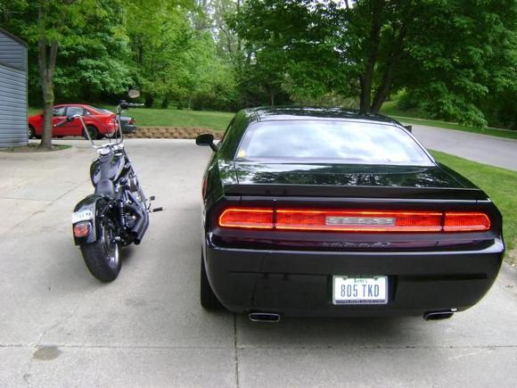 Some good lookin rears.