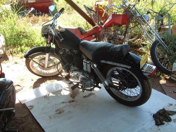 sportster 022