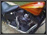 th IMG 2009 1