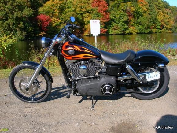 CQCBlades FXDWG SE 110