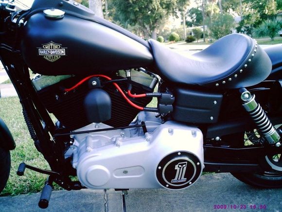 street bob 062