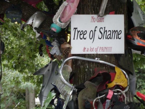Tree of Shame