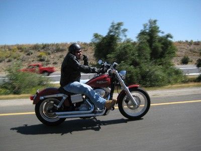 A Bird on the 15 Fwy