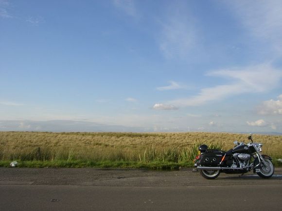 FENWICK MOORS SCOTLAND 1