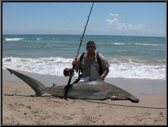 8' Hammer P.I.N.S. 2008