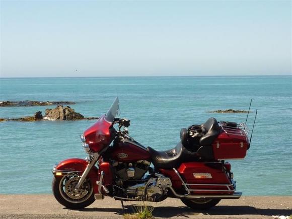 2010 Hog Nationals 046 (Large)
On the Kaikoura Coast, South Island
