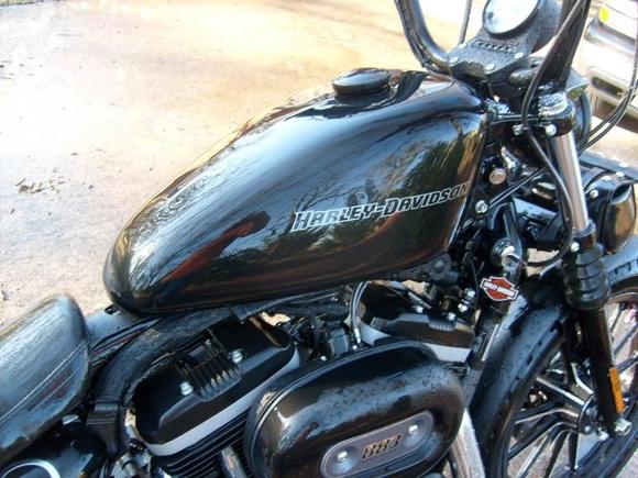 oh if i was a shiny bike!!!...lol...never