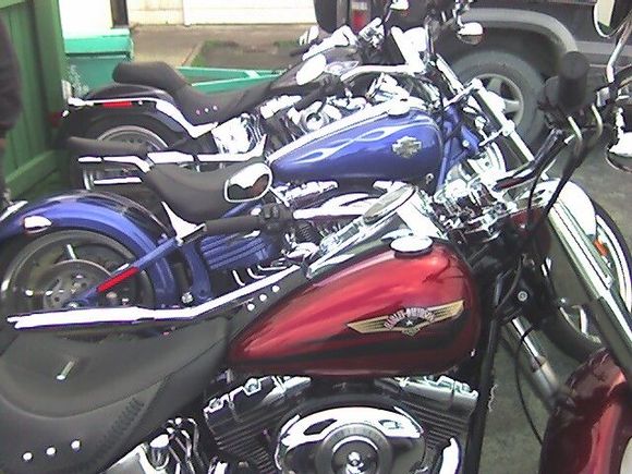 family bikes 2 Fatty'z and Rocker