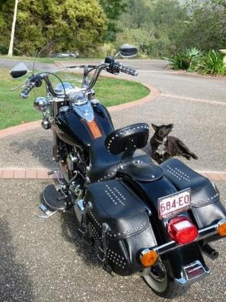 my harley4