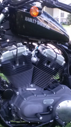 Plug wire and harness routed correctly along underside of backbone