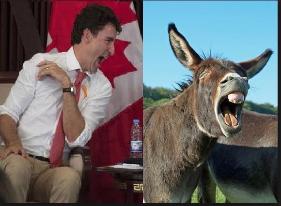 
That's True-doh on the left! 