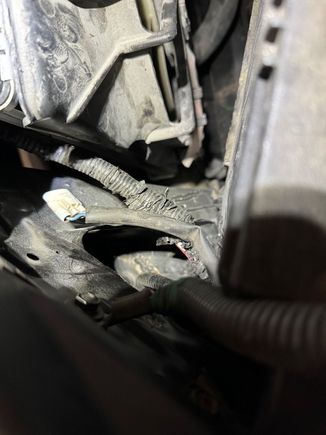 Driver side front amber light connector