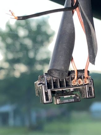 Windshield mirror plug