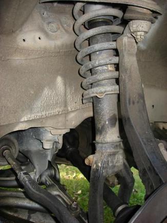 Passenger Side Strut 1