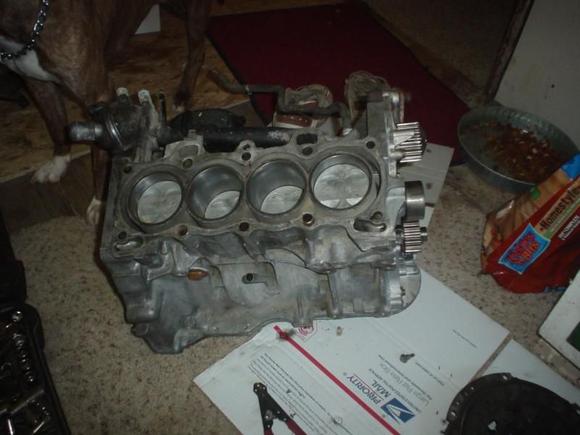 b4 paint