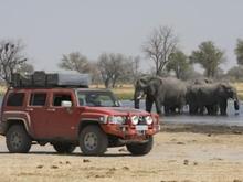 hummer h3 africa elephants