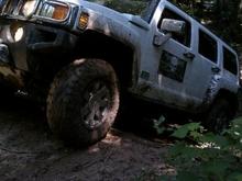 my rides