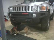 Front finished after paint and painting the bolts and HUMMER sign red