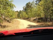 Logging Rd.