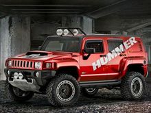 Hummer Family Pictures (8)