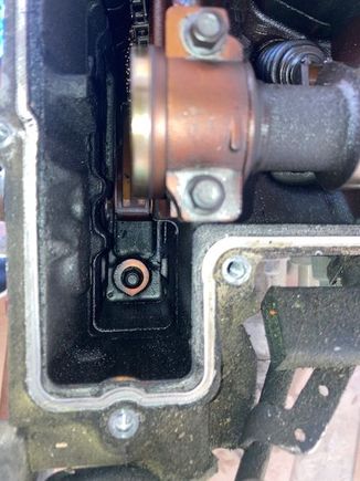 ...or this little guy as well.