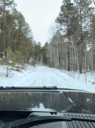 Snow in the Jemez