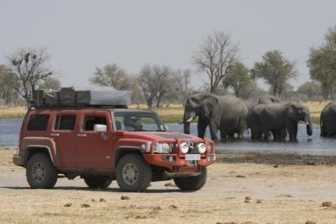 hummer h3 africa elephants