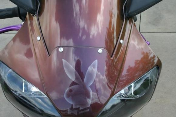 The bunny was for me!  I am addicted to anything Playboy!  Leave it to a chick to have a bunny on her bike! = )