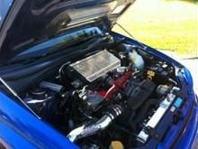 engine bay all straightened up finally