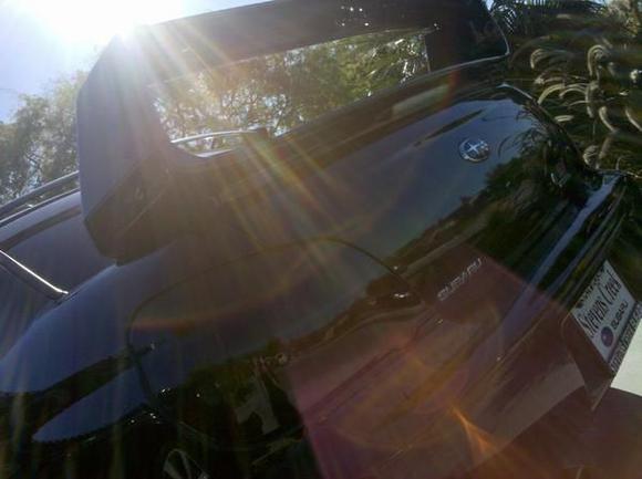 IMG 20101116 124825