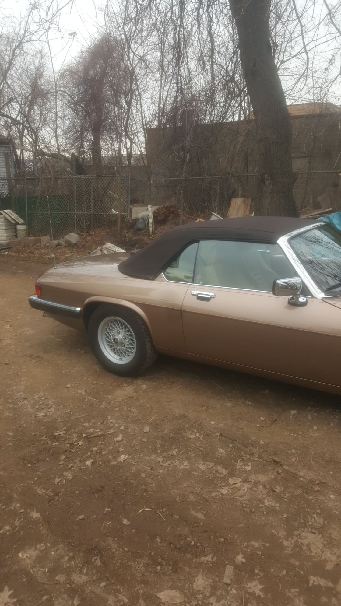 1989 Jaguar XJS - 1989 Jaguar xjs v12 convertible for sale - Used - VIN SAJNW4848LC169013 - 51,000 Miles - 12 cyl - 2WD - Convertible - Gold - Staten Island, NY 10302, United States