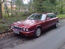 My 2nd worst Jag ...what a pup