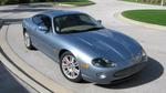 BlueCat
