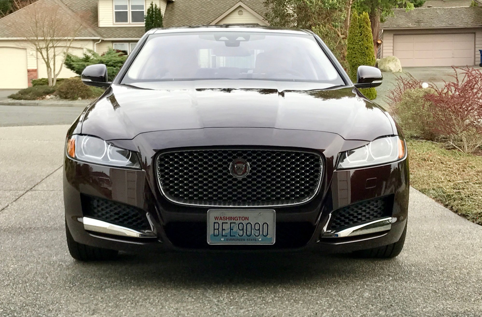Exterior Body Parts - Black Grilll for 2017 Jaguar XF - Used - 2017 to 2019 Jaguar XF - Anacortes, WA 98221, United States