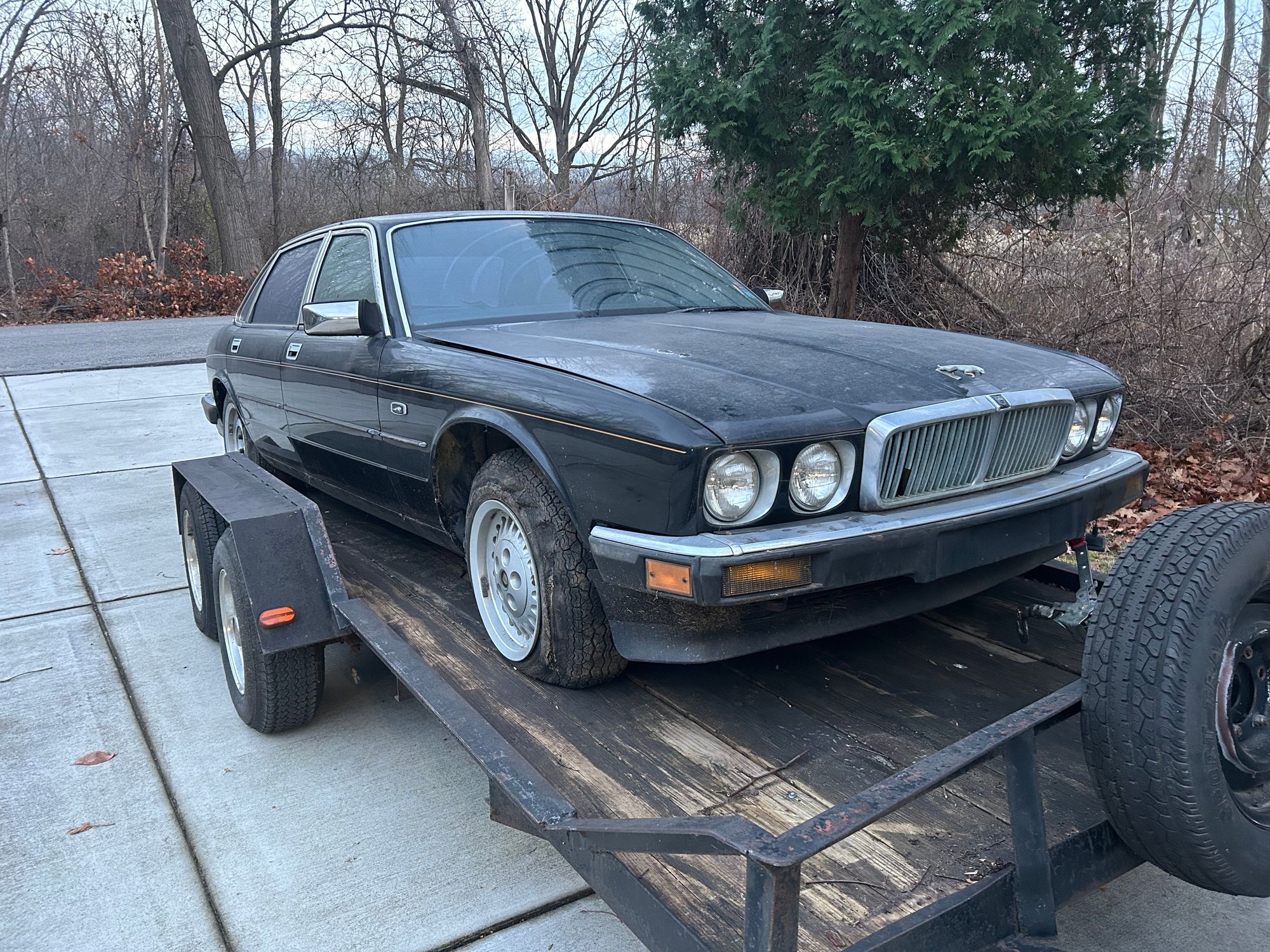 Barn Find at its finest!