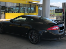 The Cat is a little bit thirsty...