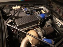 This is a more recent pic. 