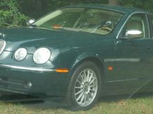 Jaguar in the wild & ready to pounce!