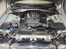 My Post Pictures