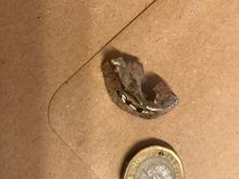 That’s a £1 coin for scale (23m diameter)
