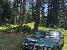 This car is my son, daughter, mother, father, dog, and sister all wrapped up in one beautiful creature. One of many camping trips with her.