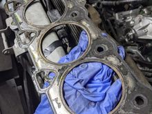 Tired head gasket