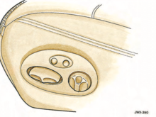 Seat adjustment controls
