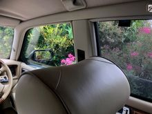 Inside view showing comparison with front windows