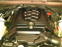 Original OEM Engine Cover with Badge