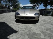 Front with Adamesh Lights